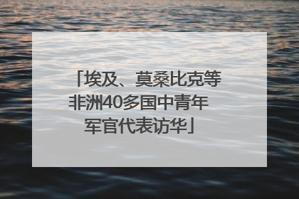 埃及、莫桑比克等非洲40多国中青年军官代表访华