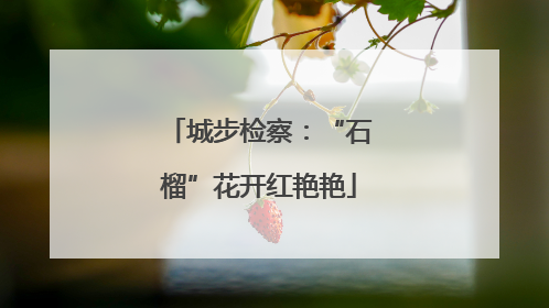 城步检察：“石榴”花开红艳艳