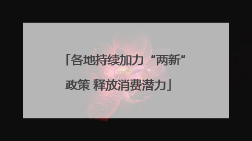 各地持续加力“两新”政策 释放消费潜力