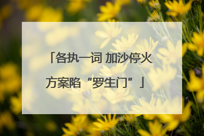 各执一词 加沙停火方案陷“罗生门”