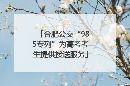 合肥公交“985专列”为高考考生提供接送服务