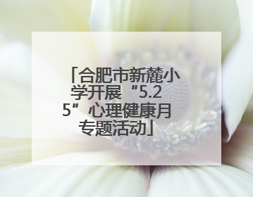 合肥市新麓小学开展“5.25”心理健康月专题活动