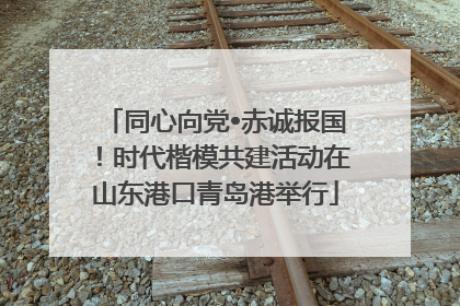 同心向党•赤诚报国！时代楷模共建活动在山东港口青岛港举行