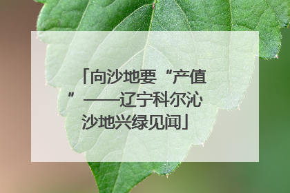 向沙地要“产值”——辽宁科尔沁沙地兴绿见闻