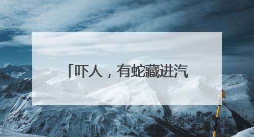 吓人，有蛇藏进汽车引擎盖！北京9天接9起“蛇警”