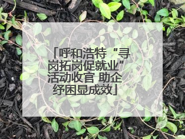 呼和浩特“寻岗拓岗促就业”活动收官 助企纾困显成效