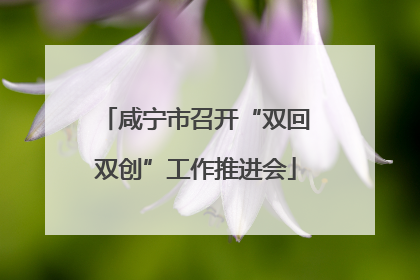 咸宁市召开“双回双创”工作推进会