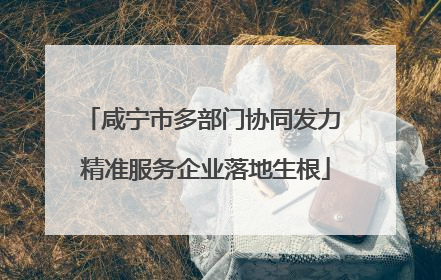 咸宁市多部门协同发力 精准服务企业落地生根