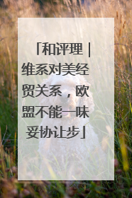 和评理｜维系对美经贸关系，欧盟不能一味妥协让步