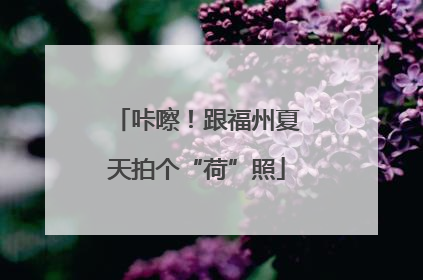 咔嚓！跟福州夏天拍个“荷”照
