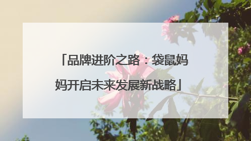 品牌进阶之路：袋鼠妈妈开启未来发展新战略