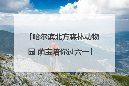 哈尔滨北方森林动物园 萌宝陪你过六一