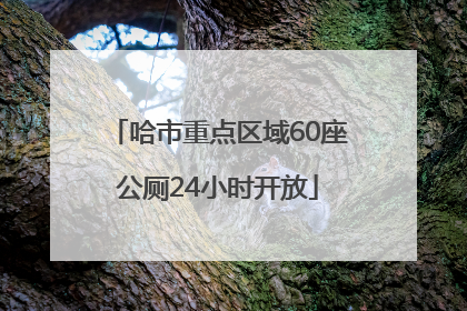 哈市重点区域60座公厕24小时开放