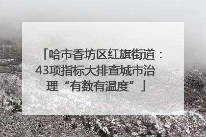 哈市香坊区红旗街道：43项指标大排查城市治理“有数有温度”