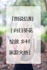 图说信阳｜向日葵花绽放 乡村旅游火热