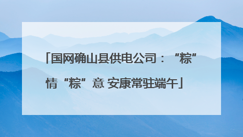 国网确山县供电公司：“粽”情“粽”意 安康常驻端午