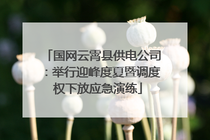 国网云霄县供电公司：举行迎峰度夏暨调度权下放应急演练