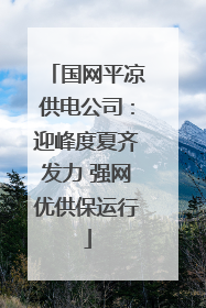 国网平凉供电公司：迎峰度夏齐发力 强网优供保运行