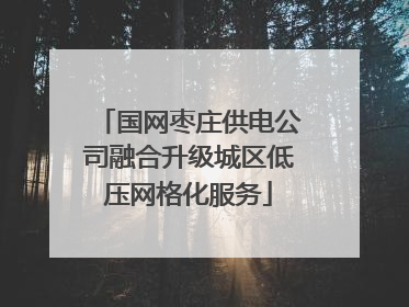 国网枣庄供电公司融合升级城区低压网格化服务