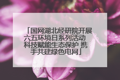 国网湖北经研院开展六五环境日系列活动 科技赋能生态保护 携手共建绿色电网