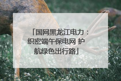 国网黑龙江电力：织密端午保电网 护航绿色出行路