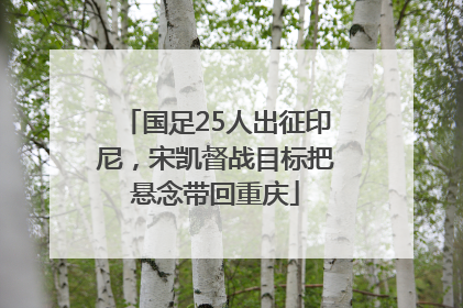 国足25人出征印尼，宋凯督战目标把悬念带回重庆