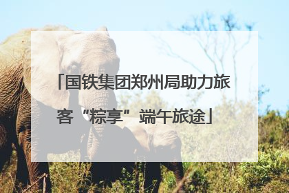 国铁集团郑州局助力旅客“粽享”端午旅途