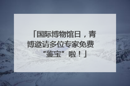 国际博物馆日，青博邀请多位专家免费“鉴宝”啦！