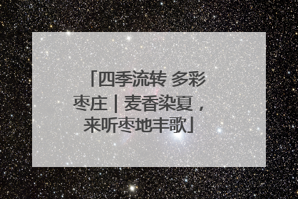 四季流转 多彩枣庄｜麦香染夏，来听枣地丰歌