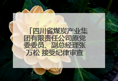 四川省煤炭产业集团有限责任公司原党委委员、副总经理张万松 接受纪律审查和监察调查