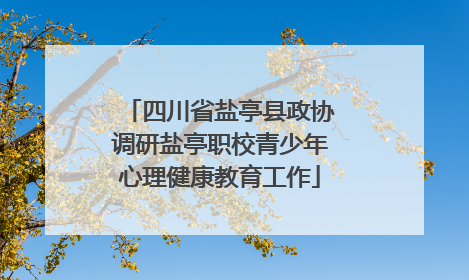 四川省盐亭县政协调研盐亭职校青少年心理健康教育工作