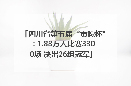 四川省第五届“贡嘎杯”：1.88万人比赛3300场 决出26组冠军