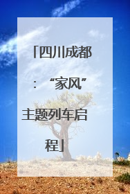 四川成都：“家风”主题列车启程