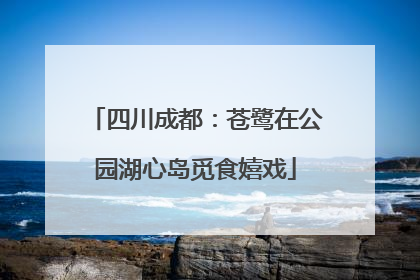 四川成都：苍鹭在公园湖心岛觅食嬉戏
