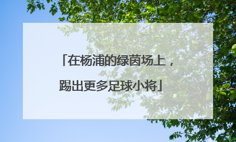 在杨浦的绿茵场上，踢出更多足球小将