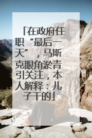 在政府任职“最后一天”，马斯克眼角淤青引关注，本人解释：儿子干的