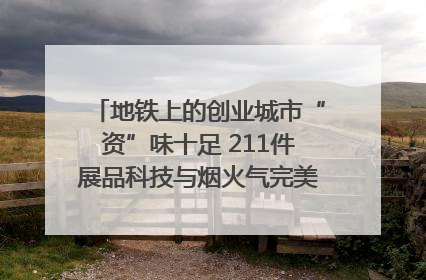 地铁上的创业城市“资”味十足 211件展品科技与烟火气完美融合｜西博视界