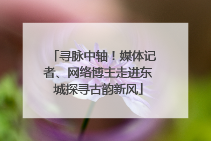 寻脉中轴！媒体记者、网络博主走进东城探寻古韵新风