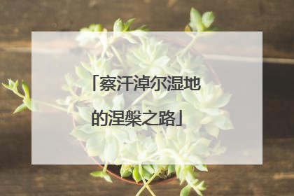 察汗淖尔湿地的涅槃之路