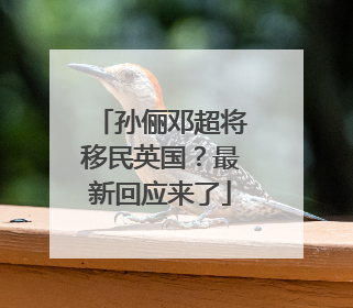 孙俪邓超将移民英国？最新回应来了
