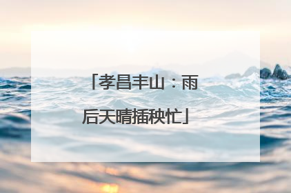 孝昌丰山：雨后天晴插秧忙