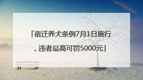 宿迁养犬条例7月1日施行，违者最高可罚5000元