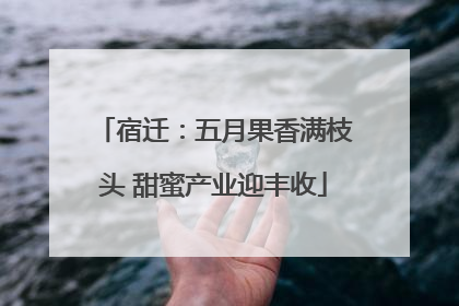 宿迁：五月果香满枝头 甜蜜产业迎丰收