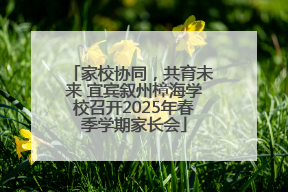 家校协同，共育未来 宜宾叙州樟海学校召开2025年春季学期家长会