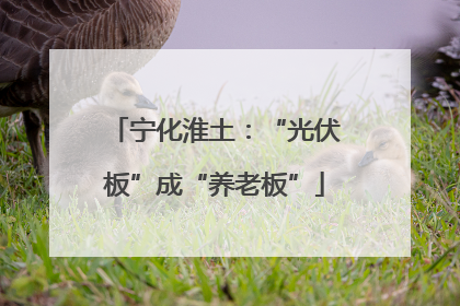 宁化淮土：“光伏板”成“养老板”