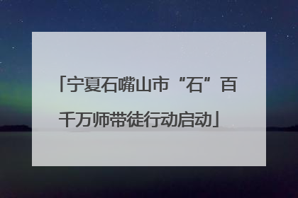 宁夏石嘴山市“石”百千万师带徒行动启动