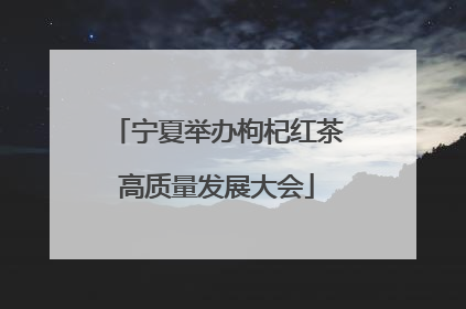 宁夏举办枸杞红茶高质量发展大会