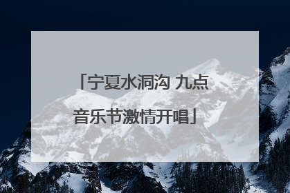 宁夏水洞沟 九点音乐节激情开唱