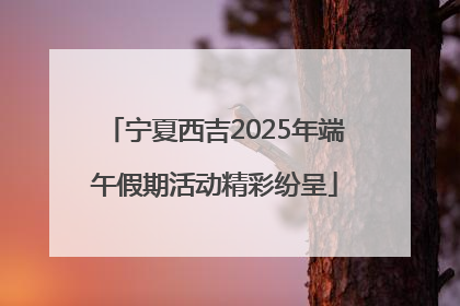 宁夏西吉2025年端午假期活动精彩纷呈