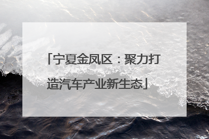 宁夏金凤区：聚力打造汽车产业新生态